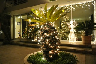 クリスマス/ライトアップ18.jpg